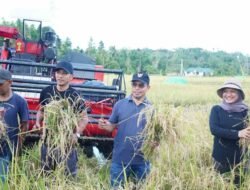 Bupati Bolmut Dr Sirajudin Lasena dan Wabup Moh Aditya Pontoh Lakukan Panen Padi di Desa Pontak